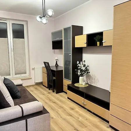 Danka 6Th Floor Chic Apartment Krakow Exterior photo